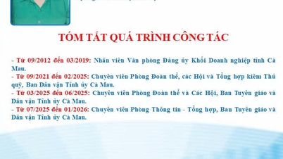 The Provincial Party Committee's Propaganda and Mass Mobilization Department has two candidates running for election to the Provincial People's Council for the 2026-2031 term.