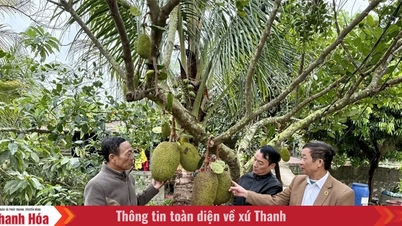 Elderly people in Thieu Trung commune are playing the role of "old age - shining examples".