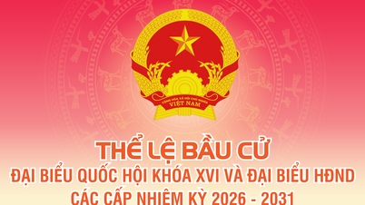 (Πληροφοριακό γράφημα) Κανονισμοί για την εκλογή βουλευτών στην 16η Εθνοσυνέλευση και βουλευτών στα Λαϊκά Συμβούλια σε όλα τα επίπεδα για την περίοδο 2026-2031.