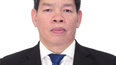 Comrade Luong Van Viet, Member of the City Party Committee, Secretary of the Party Committee, and Director of the Department of Education and Training, is running for election as a delegate to the Hai Phong City People's Council for the 2026-2031 term.