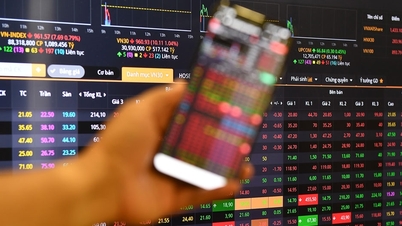 ارتفعت أسعار النفط إلى 118 دولارًا، وانخفضت أسعار الأسهم بشكل عام، وخسر مؤشر VN-Index أكثر من 100 نقطة.
