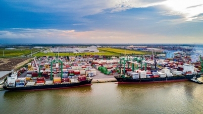 Green Port VIP desidera trasferire la propria quotazione alla Borsa di HoSecurities.