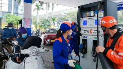 Two ministries propose solutions to stabilize the petroleum market.