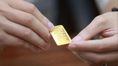 Le cours de l'or SJC a chuté brutalement à 179,5 millions de VND/once après la séance d'ouverture du 9 mars.
