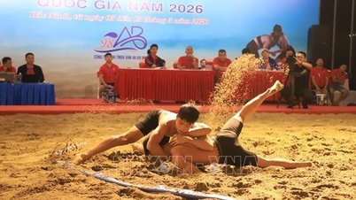 Près de 600 athlètes ont participé aux championnats nationaux de lutte sur plage et aux championnats juniors.