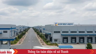 Intra-provincial logistics: A crucial link in promoting trade and services.