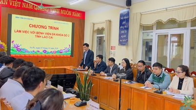L'hôpital général provincial n° 2 de Lao Cai mène une enquête et une évaluation des besoins en techniques avancées dans le traitement des AVC.