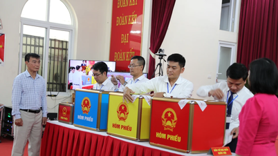 National Assembly and People's Council Elections: Implementing a model voting process in Thanh Hoa.
