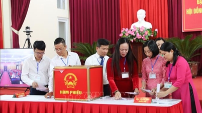 タインホア省で試験的な投票手続きを実施。