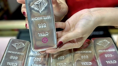 Silver prices today, March 9th: Falling sharply along with gold as crude oil prices surpass $110/barrel.