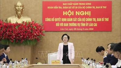 Kunngjøring av beslutningen om å gjennomføre inspeksjon og tilsyn av den stående komiteen i Lao Cai provinsielle partikomité.