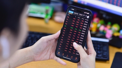 Clôturant la séance de bourse du matin sous pression, l'indice VN a chuté de 114 points.