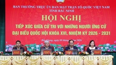 Timbalan Yang Dipertua Dewan Undangan Negeri Do Van Chien dan para calon telah bertemu dengan pengundi di wilayah Bac Ninh.