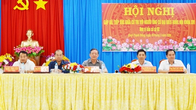 Les candidats à l'Assemblée nationale rencontrent les électeurs dans les communes de Binh Thanh Dong et Hoa Lac.
