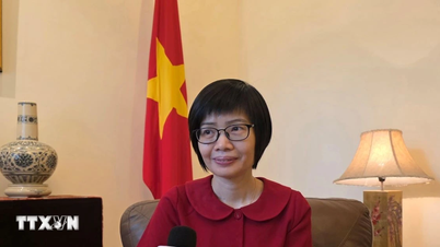 Vietnam aporta la voz de la juventud a la iniciativa AFF Next Generation 2026.