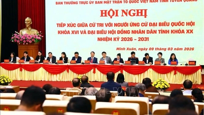 Pilihan raya Dewan Undangan Negeri dan Majlis Rakyat: Mendengar pemikiran dan aspirasi pengundi.