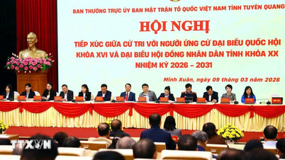 Bầu cử Quốc hội và Hội đồng nhân dân: Lắng nghe tâm tư, nguyện vọng của cử tri
