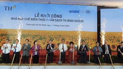TH Group commences construction of a clean food processing plant worth over 6,000 billion VND.