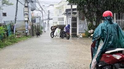เตือนภัยพายุฝนฟ้าคะนองบนบกและลมแรงในทะเล