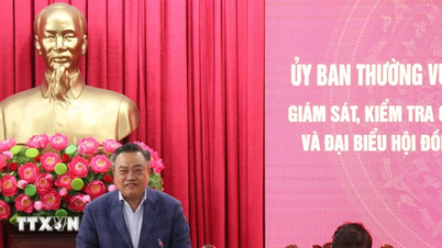 Ứng dụng chuyển đổi số trong quản lý danh sách cử tri