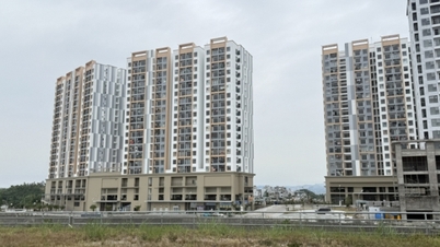 Réalisation progressive de l'objectif de développement du logement social.