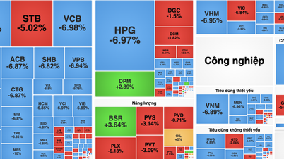 Des experts expliquent pourquoi l'indice VN a «disparu» de plus de 100 points.