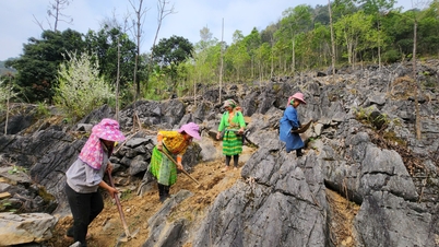 Toàn tỉnh gieo trồng hơn 10.800 ha cây trồng các loại - Báo Cao Bằng điện tử