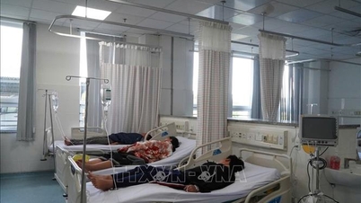 Suspected bread poisoning incident in Vung Tau: Salmonella bacteria detected in multiple samples.