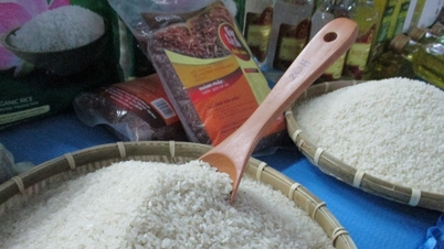 Giá lúa gạo hôm nay 7/3: Thị trường đi ngang, giá gạo nguyên liệu giảm 400 đồng/kg