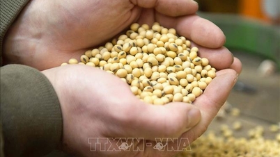 Sức nóng từ Trung Đông, giá nông sản thế giới tăng vọt