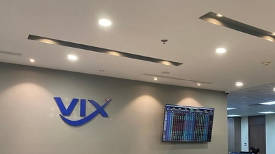 VIX Securities : Le fossé entre les principaux actionnaires et le défi de la gouvernance lorsque le capital social atteint des milliards de dollars américains.