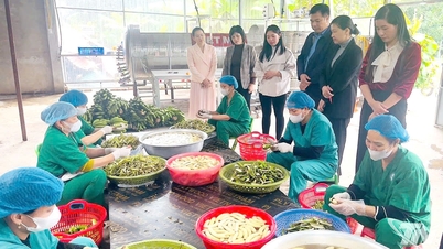 Thái Nguyên tăng cường quản lý an toàn thực phẩm
