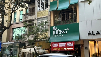 Lãnh đạo Cục Thuế nói về hỗ trợ cá nhân cho thuê nhà kê khai thuế trước hạn 20/4