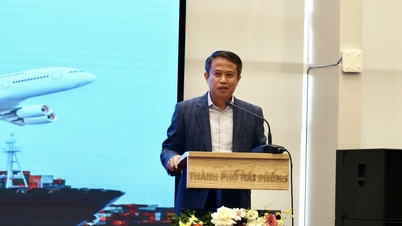 La conférence a évalué l'impact des politiques commerciales et tarifaires américaines et a proposé des solutions logistiques pour soutenir les entreprises d'import-export à Hai Phong.