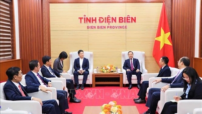 Dien Bien 'rolls out the red carpet' to welcome a wave of international cooperation.