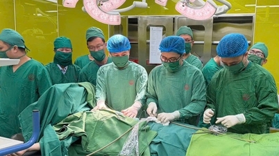 Aktivace mezinemocniční nouzové situace zachránila život mladého muže s kritickým penetrujícím poraněním hrudníku.