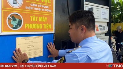 Da Nang muestra líneas directas públicamente en todas las gasolineras.