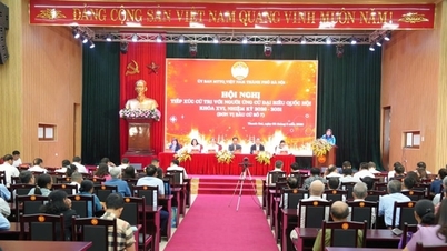 Hanoi: Organizing voter outreach and election campaigning in a systematic and compliant manner.