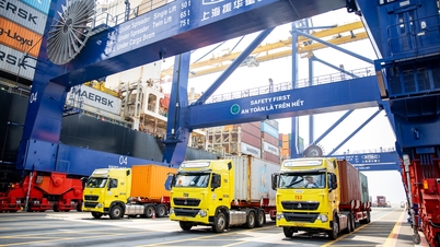 Digitalizarea logisticii sporește competitivitatea afacerilor.