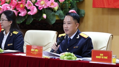 法令68号に従い、事業所の納税申告を支援する15日間の集中キャンペーンを開始します。
