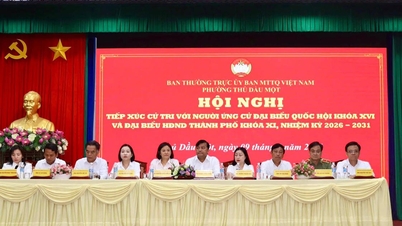 Candidates for the National Assembly and People's Council of Ho Chi Minh City have proposed numerous social welfare solutions.