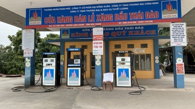 Bac Ninh mewajibkan pengeposan nombor hotline di stesen minyak.