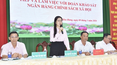 La dette totale en cours des programmes de crédit public dans la commune de Vinh Hoa Hung a atteint plus de 86,2 milliards de VND.