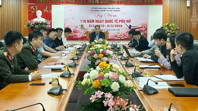 Bac Ninh: Dohoda o obsahu plánu na uspořádání festivalu sázení starších stromů na centrální úrovni.