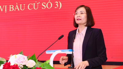 Cinco compromisos de acción de la Presidenta de la Unión de Mujeres de la Provincia de Quang Ninh al postularse para la elección al Consejo Popular Provincial.