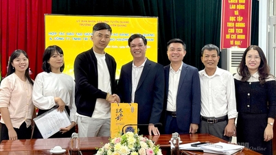 วิทยาลัยตวนกวางได้ลงนามในข้อตกลงความร่วมมือเชิงกลยุทธ์กับบริษัท ไห่จือเฉิน เวียดนาม ปัญญาประดิษฐ์ จำกัด