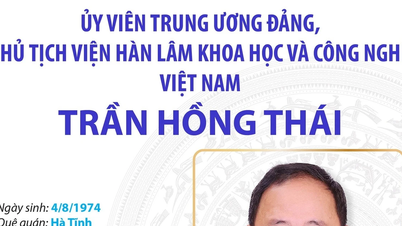 Tran Hong Thai, Ahli Jawatankuasa Pusat Parti Komunis Vietnam dan Presiden Akademi Sains dan Teknologi Vietnam.