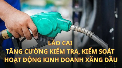 Lao Cai fortalece la inspección y el control de las actividades comerciales de gasolina y petróleo.