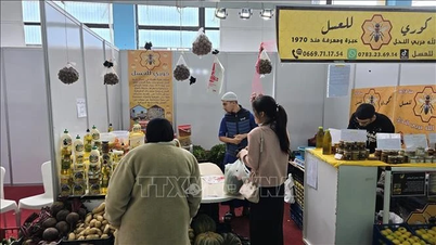 Cezayir'deki Ramazan orucunun bitiş törenini keşfedin.