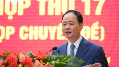 Der Premierminister ernannte Professor Dr. Tran Hong Thai zum Präsidenten der Vietnamesischen Akademie der Wissenschaften und Technologie.